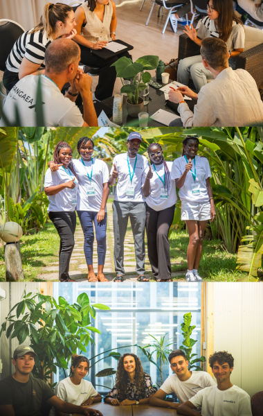 communauté pangaea x