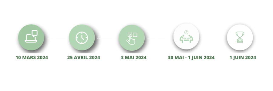 TIMELINE PANGAEA X 2022